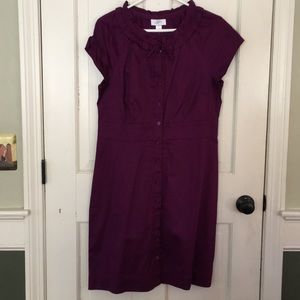 NWT Loft size 10 purple 100% cotton dress.